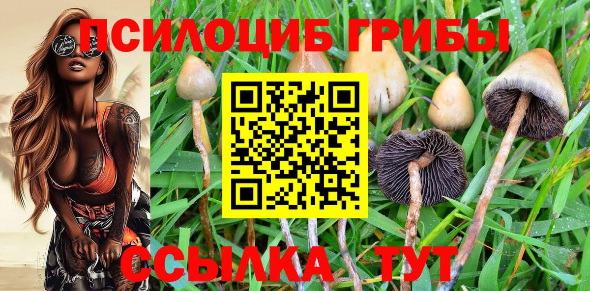 Псилоцибиновые грибы ЛСД  Вход с VPN  Карталы  Галлюциногенные грибы Psilocybe 